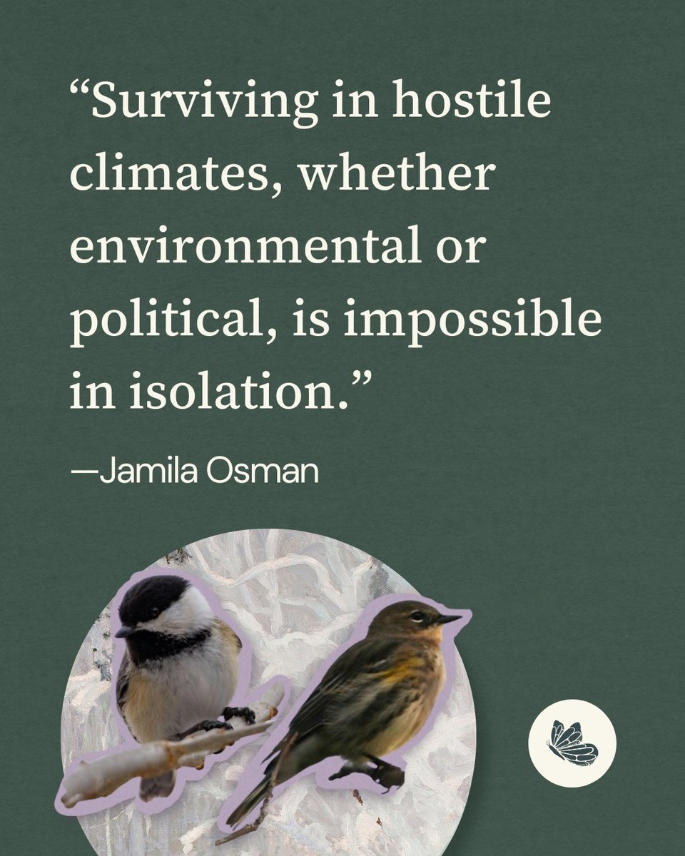 Shareable tweet media