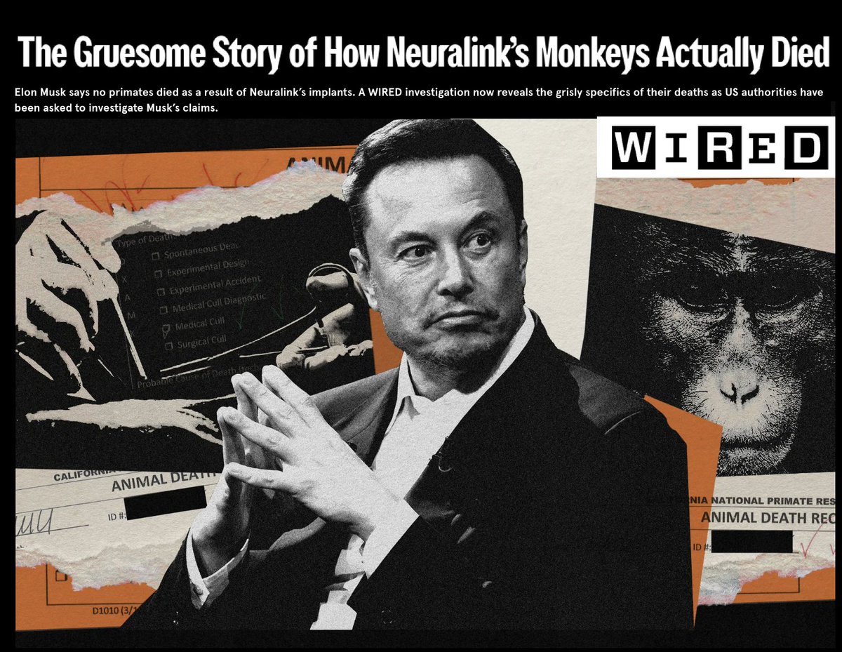 Let's recall a Federal investigation reported that Musk's Neuralink Brain Chip experiments killed over 1,500 animals. 
Monkeys died from brain swelling and surgical glue misuse.
Pigs died from surgical errors, including implants of the wrong size. Sheep also were used &amp; died.