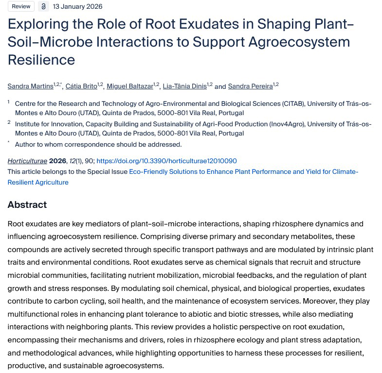 REGENETARIANISM מידת האמת tweet media