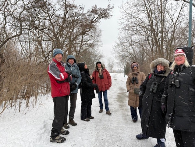 TDSB Continuing Education Department tweet media