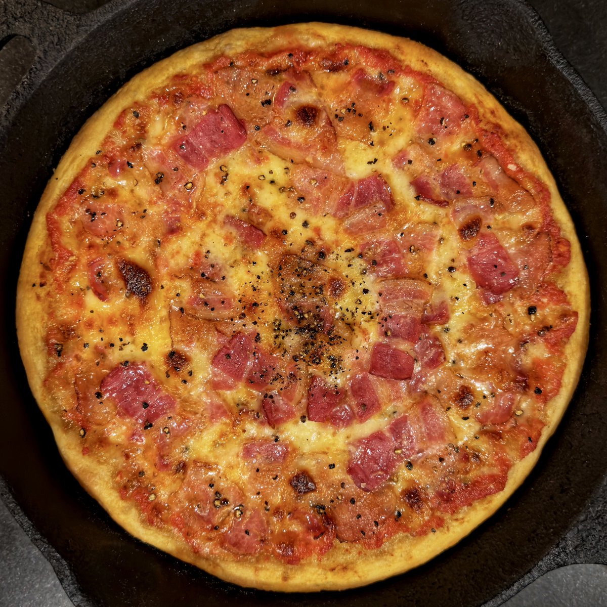 hoarse_radish's tweet photo. Bacon and black pepper pizza in #ElBarrio.

Making New York-style #pizza in my oven is a challenge: it's smaller and less powerful than a pizzeria oven. I used a thin crust, "dry" toppings, and a preheated oven (and pan) to compensate for the wrong apparatus.

#foodie #sourdough https://t.co/ExMViIRyeV