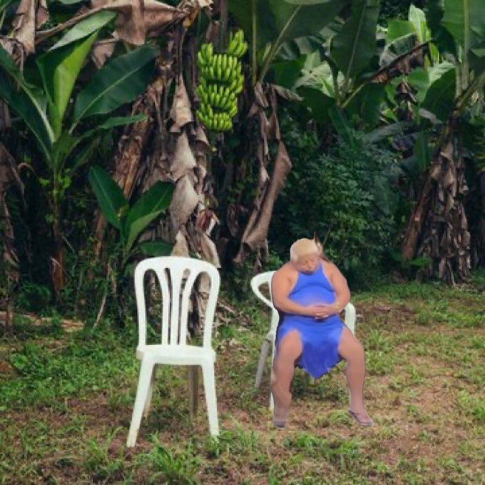 ondepatixaesta's tweet image. está tirando mais fotos