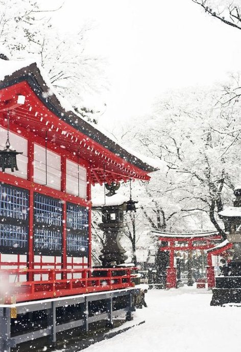 sssetfsctr's tweet image. 料理が賑やか 😍