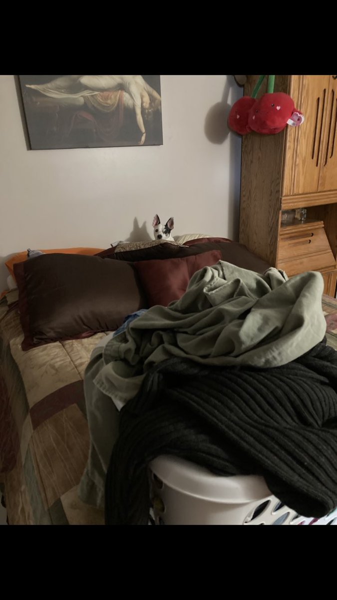 Illuminated Paths tweet media