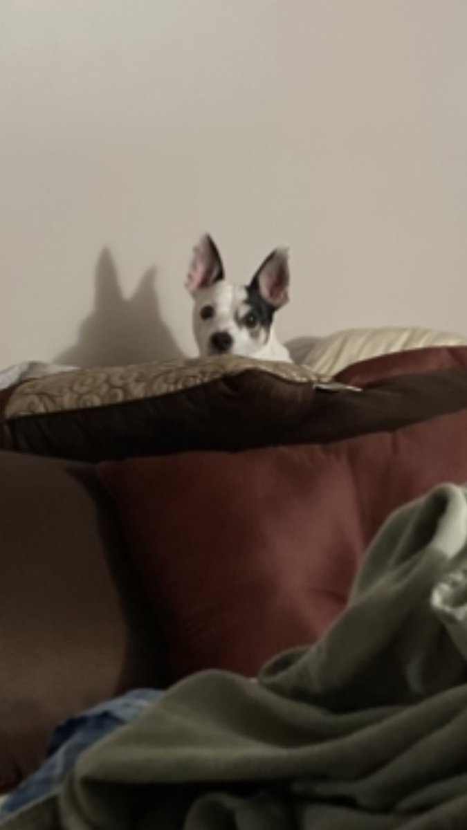 Illuminated Paths tweet media