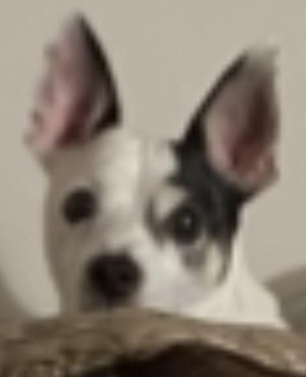 Illuminated Paths tweet media