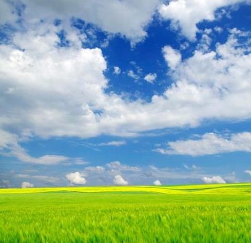 Addes26's tweet image. 歌で疲れた 😲