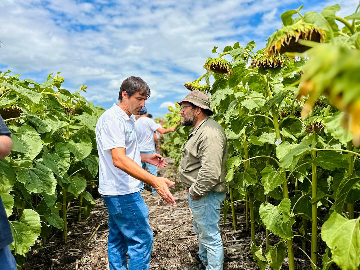 TOMÁS HNOS tweet media