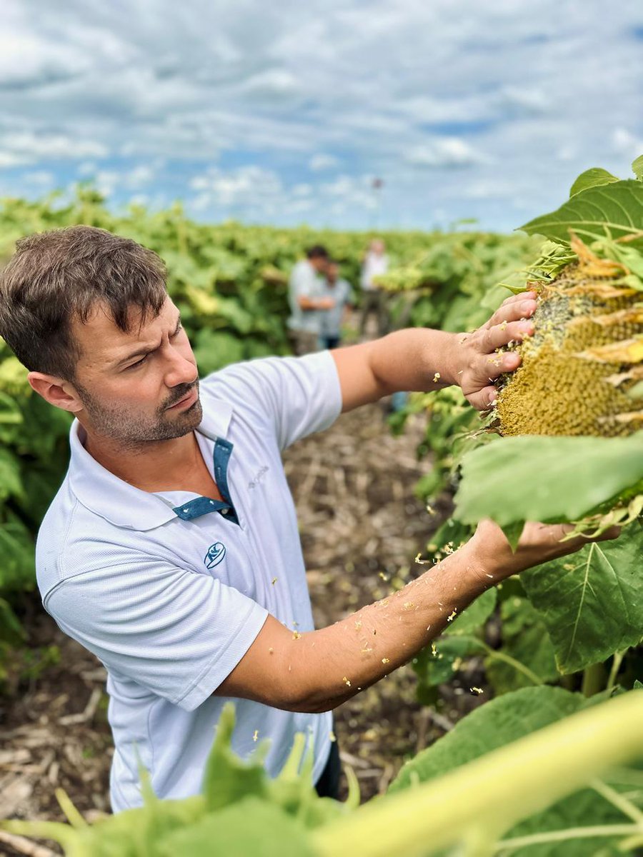 TOMÁS HNOS tweet media