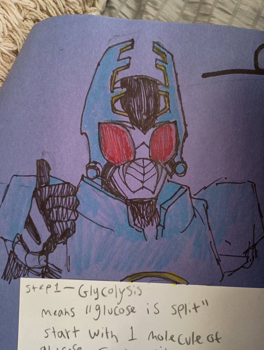 anfu 🐯 (@wagakkibandfan1) on Twitter photo 