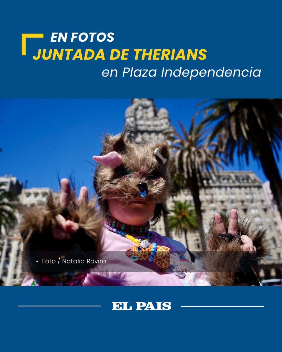 elpaisuy's tweet photo. 📸 EN FOTOS: El fenómeno viral de los therians tuvo su encuentro en Plaza Independencia, donde jóvenes uruguayos que creen que su alma es un híbrido entre un humano y un animal, se reunieron para compartir sus experiencias https://t.co/S6BkBqwL3q