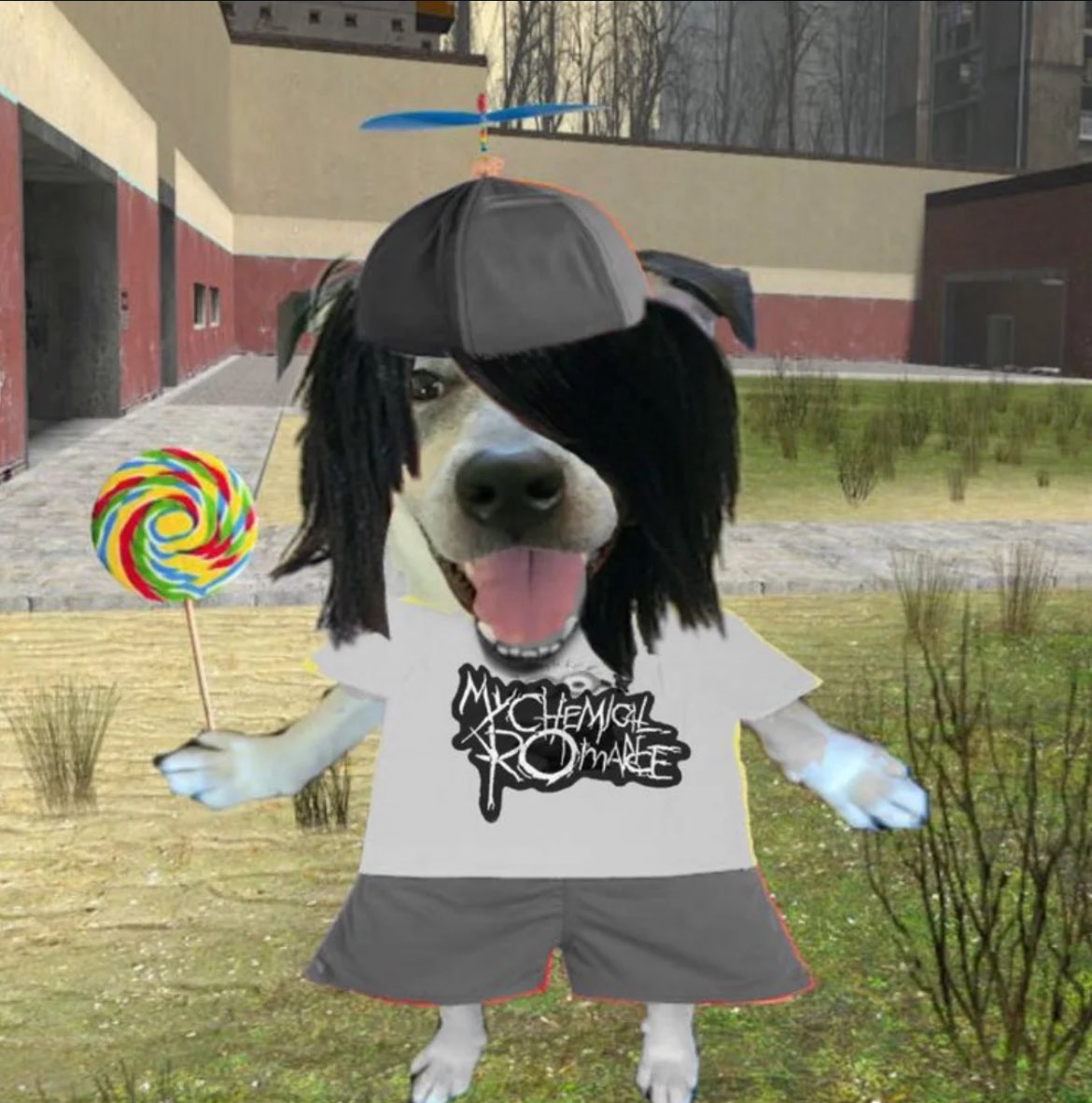 ja é terça à tarde e eu ainda choro de rir das piadocas do PRIMEIRO THE HIVES quando será que vou cansar