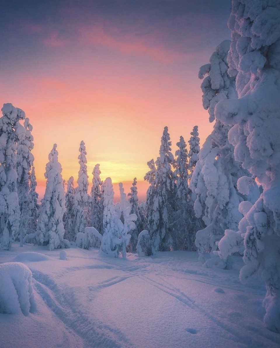 purenature_1's tweet photo. Snowy sunsets ❄️🌨️☀️ #winter https://t.co/d8kbiuft4h