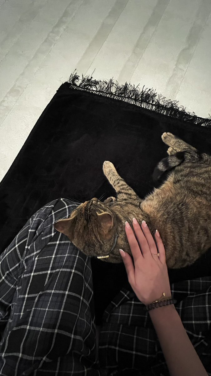 🇹🇷🇩🇿 tweet media