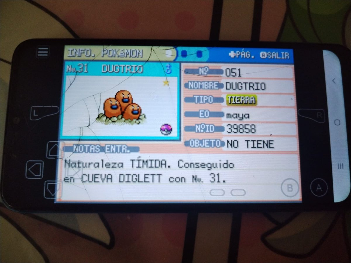 Haunter3001's tweet photo. Jugando de manera random en el teléfono (si emulador) de la nada sale este Dugtrio shiny en el verde hoja

Video: https://t.co/rZ1TRzLA3i

#Pokemon #pokemonshiny #shiny  #pokemonleafgreen https://t.co/doFFQz0dNl
