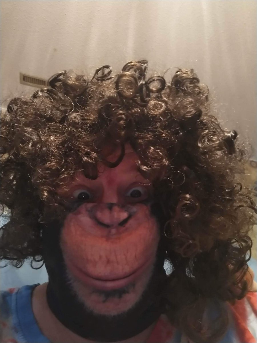 Orangutang Mane tweet media