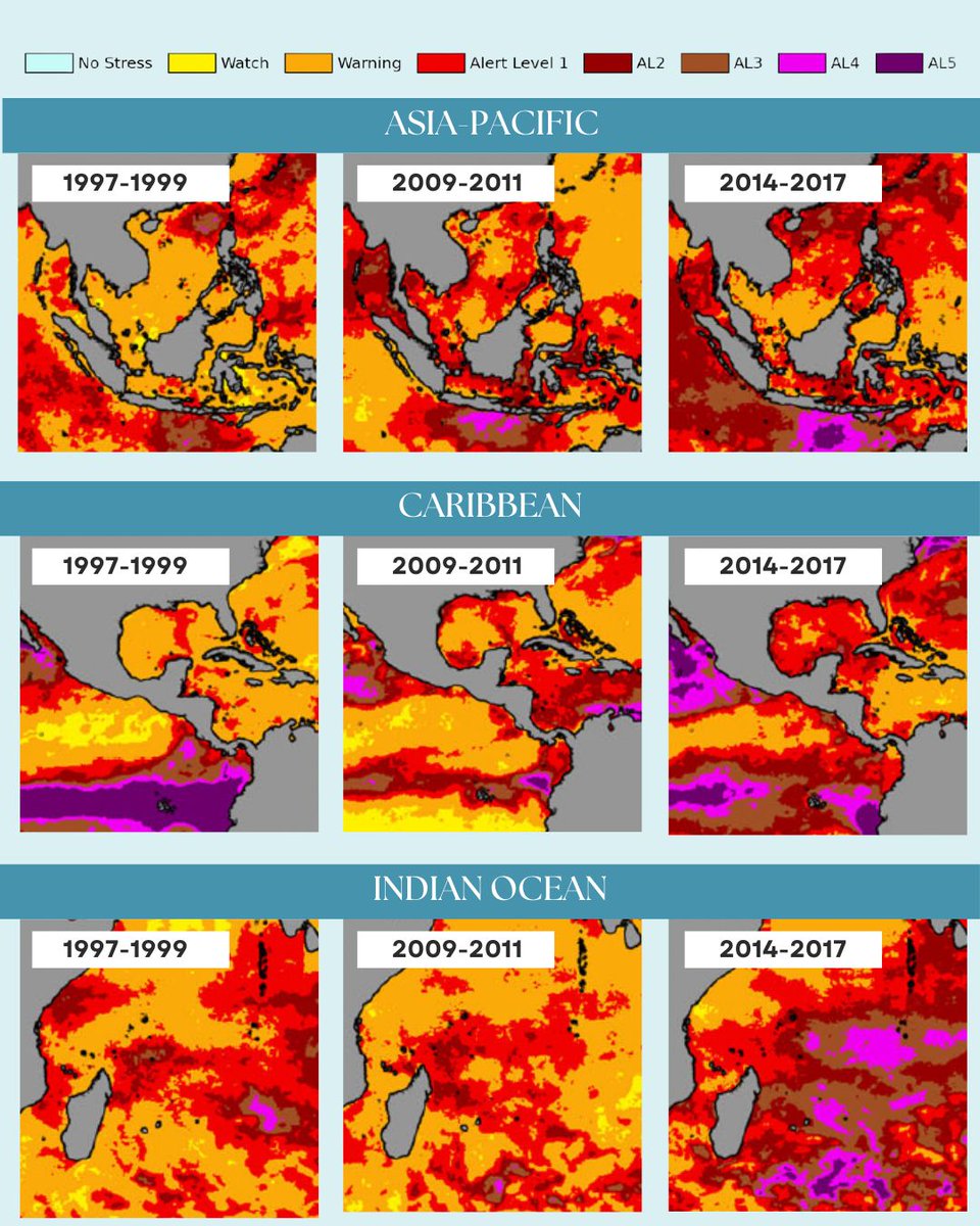 International Coral Reef Society tweet media