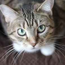 le_longus's tweet image. Day 255 🤥