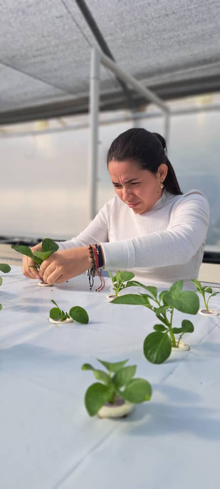 Product. Integrales tweet media