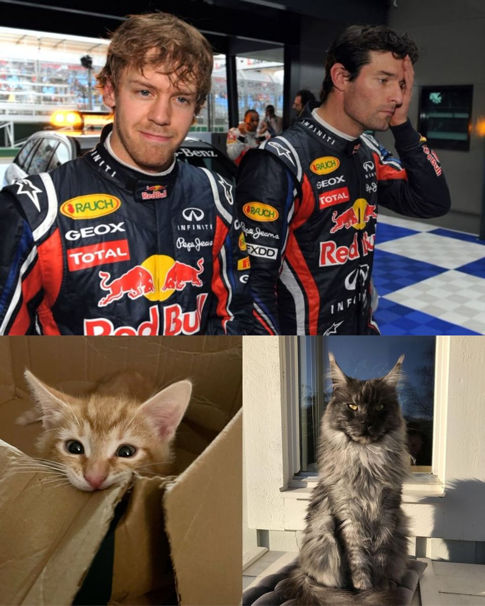 juliefitf's tweet image. #them 
других объяснений у меня нет