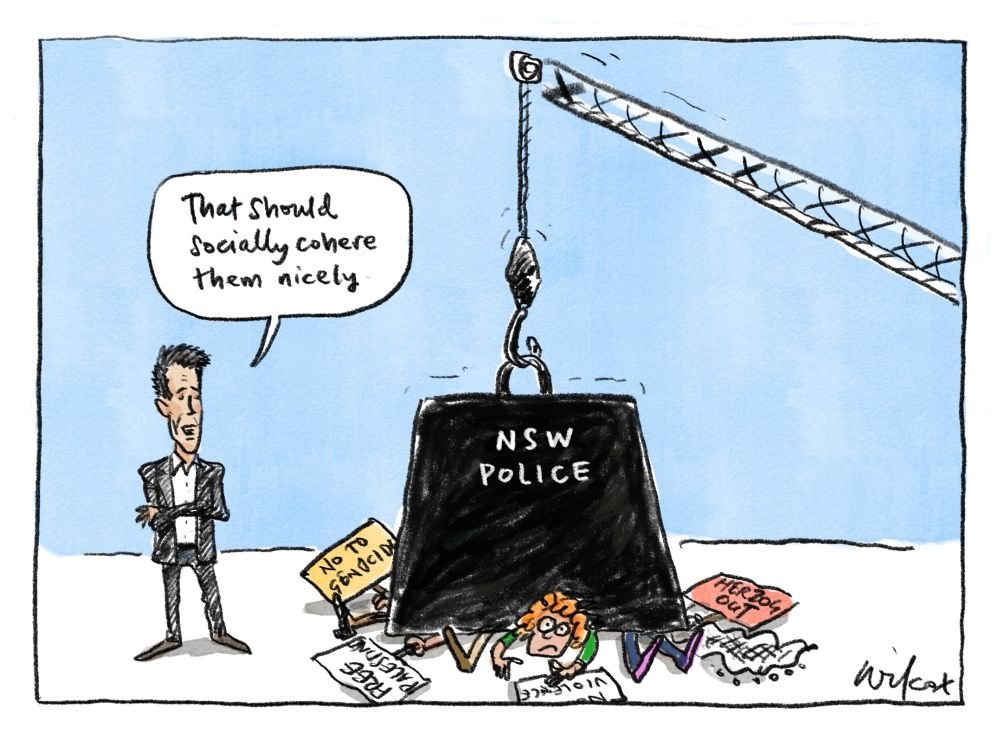 JonesHowDareYou's tweet image. Wilcox. #auspol #nswpol #Cohesion