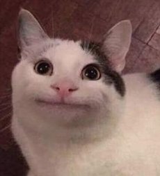 Tsquarebabe's tweet image. 子供に言う、でも子供が辛い 🐺