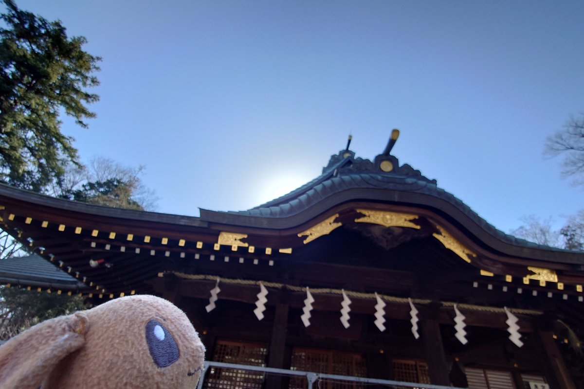 おはようございます☀

府中の大國魂神社⛩️

名前がカッコイイ。
ぶい「感想が乾燥しきってる件」
#ぬい撮り #神社巡り