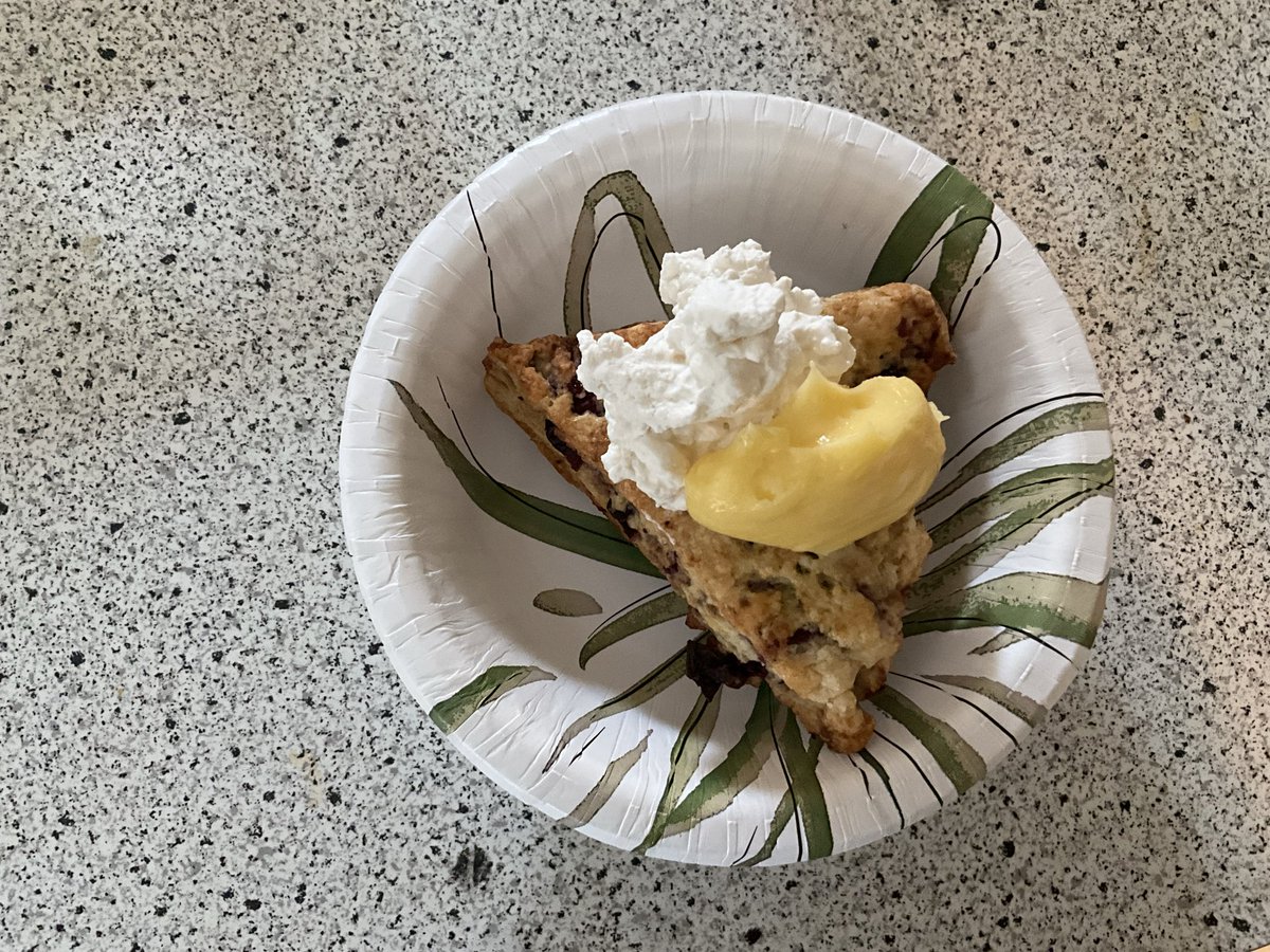 Blueberry scone, lemon curd, chantilly cream all from scratch