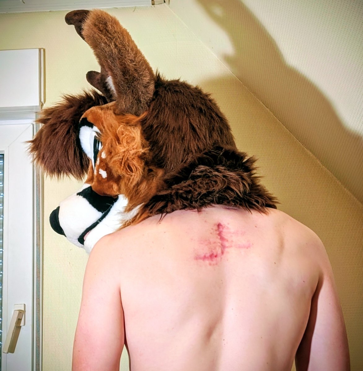 Nico 🔜 NFC tweet media