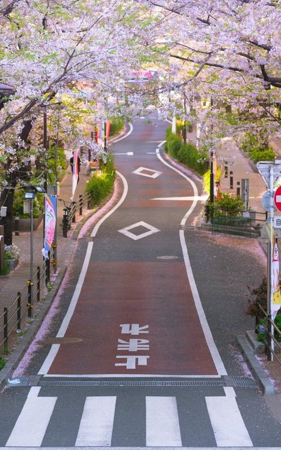 studog87's tweet image. よく写真を上達する 🗣️