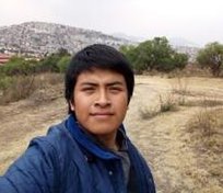 pterrasi's tweet image. 体を立つ 🍄