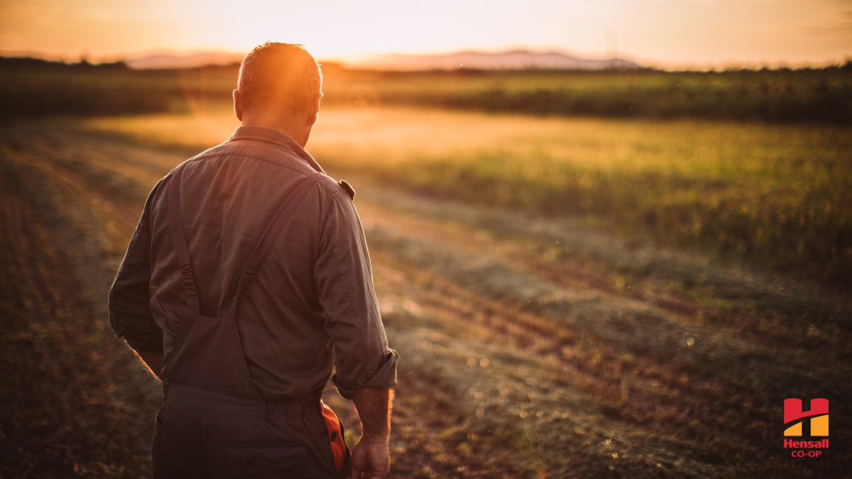 Hensall Co-op Animal Nutrition tweet media