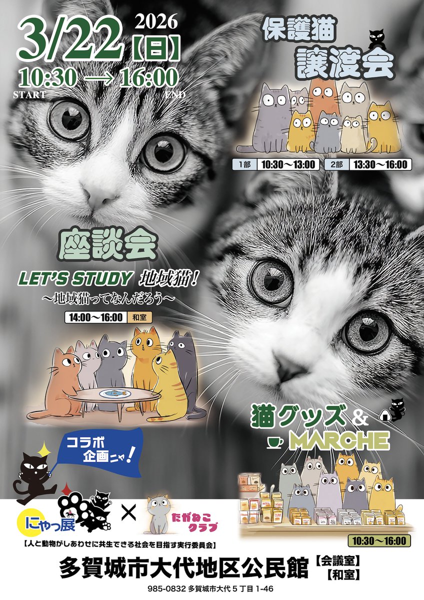 にゃん太通販+にゃっ展+にゃんにゃんBOX+猫十字 (@nyantashop) / Posts / X