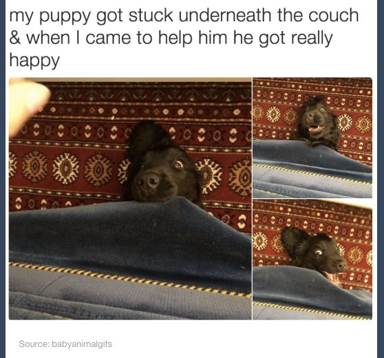 WholesomeMeme's tweet photo. https://t.co/sQysVHbl9M
