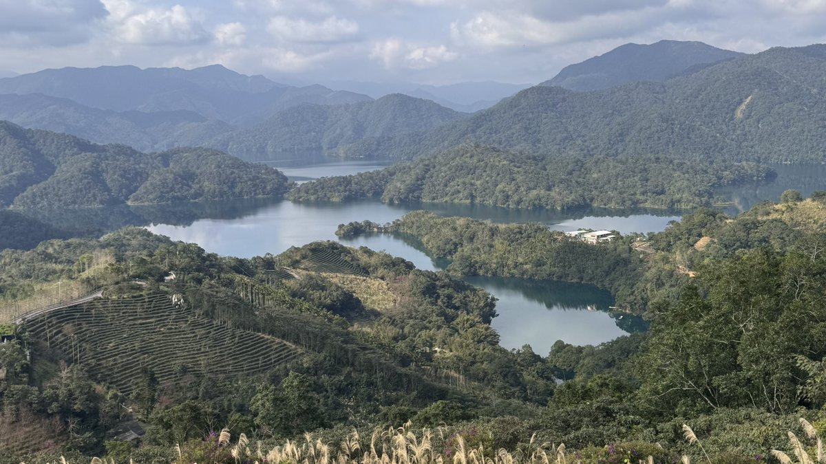 vinochen's tweet image. 