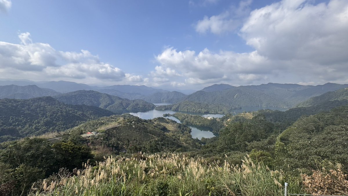 vinochen's tweet image. 