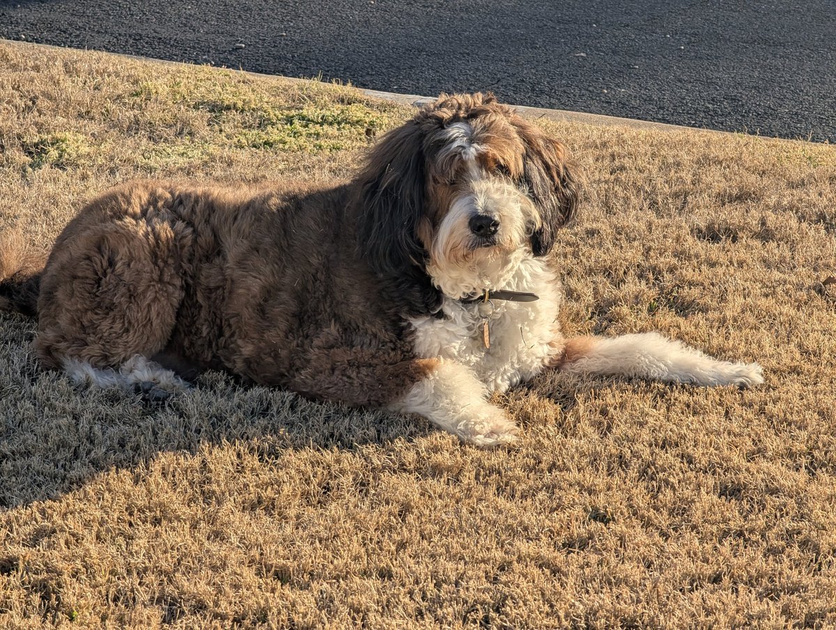 Doug Bain tweet media