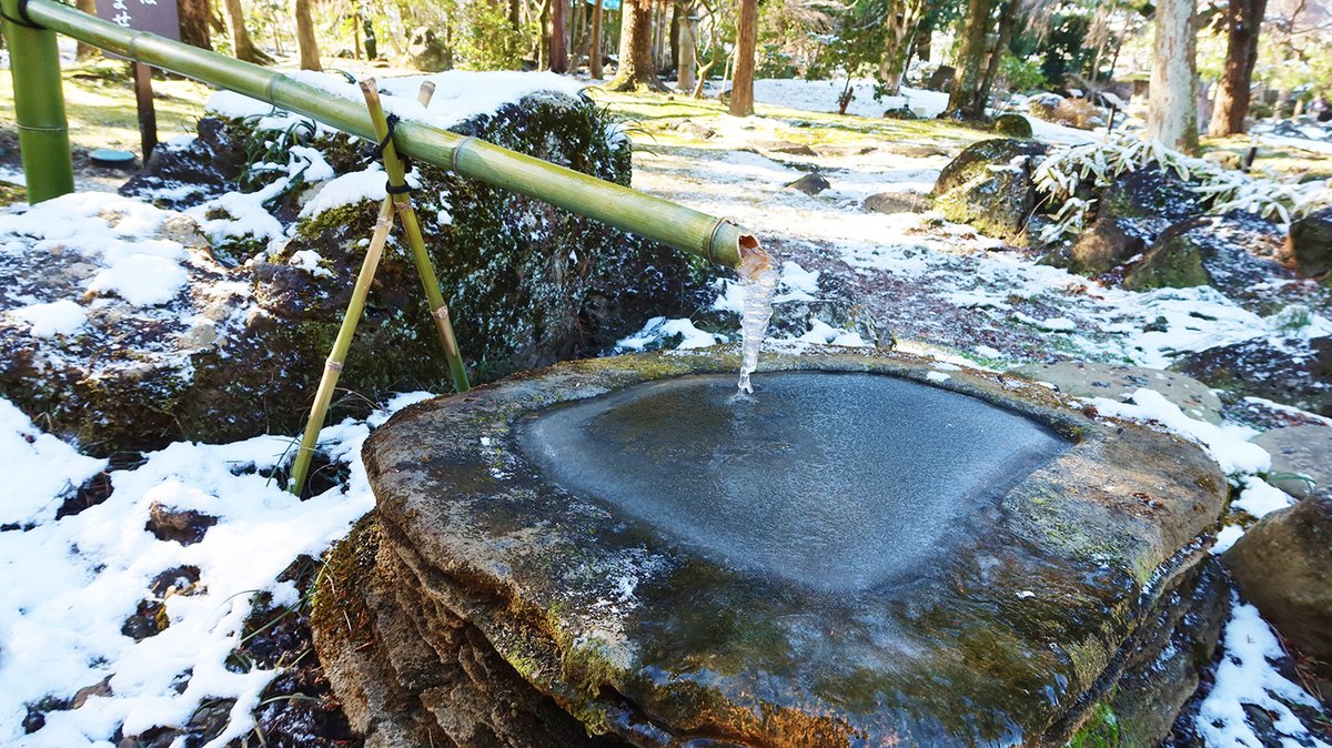 【明日2/12㊍は休館日！】
2/8に降った雪で翌朝の隆泉苑は雪化粧❄
※写真は2/9撮影
静岡県平野部での降雪はとても珍しく、これほど積もったのは12年振りでしょうか

来週2/16㊊～20㊎は休館となります
#佐野美術館
#休館日