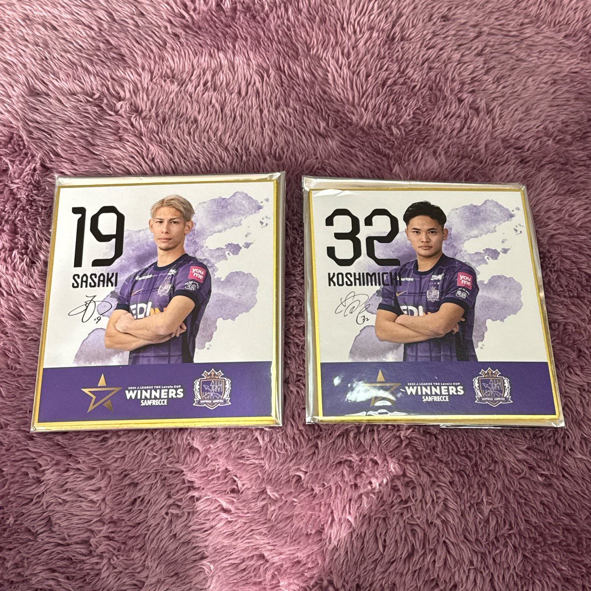 交換譲渡】サンフレッチェ ルヴァンカップ優勝記念プレイヤーズミニ