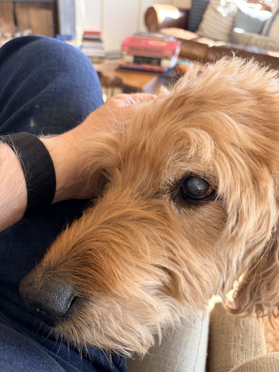 Dr Terry Simpson tweet media