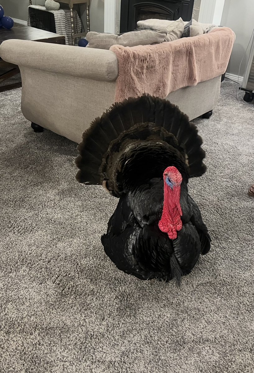 Springboro Ohio Latest News And Information tweet media