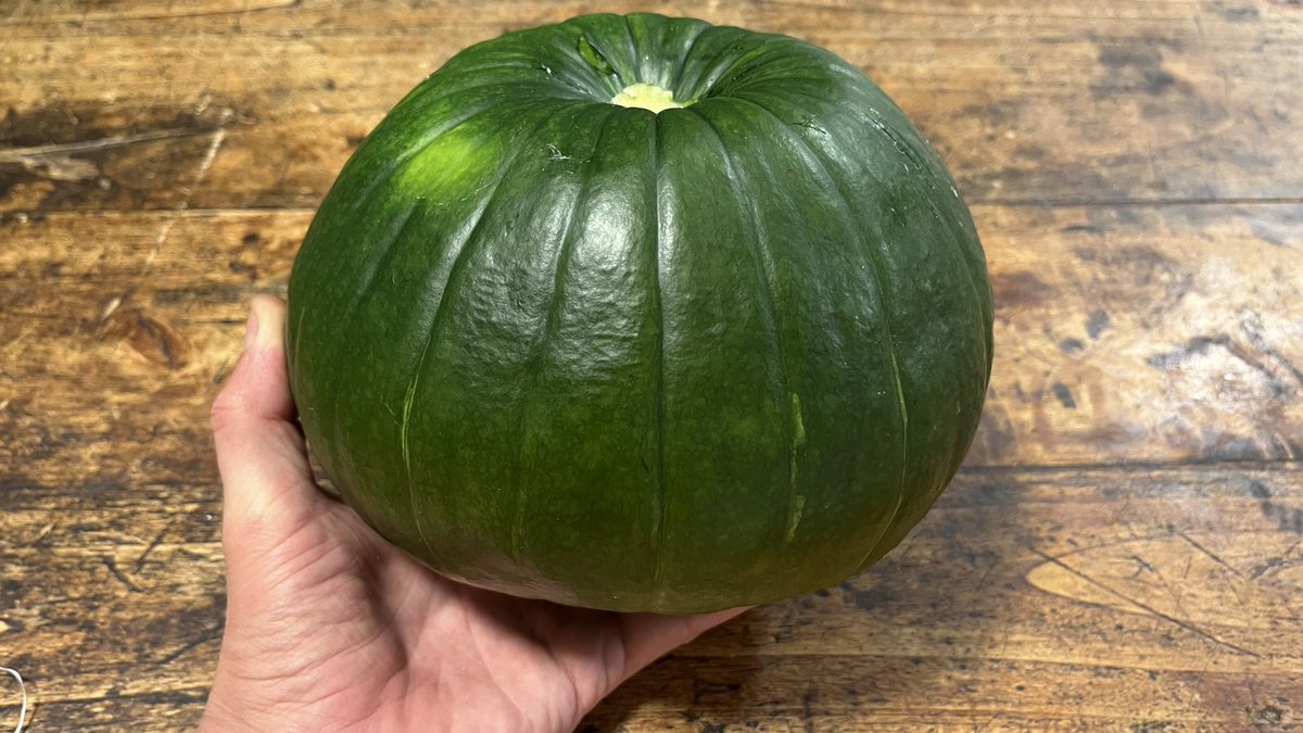 Edgar Olsen tweet media