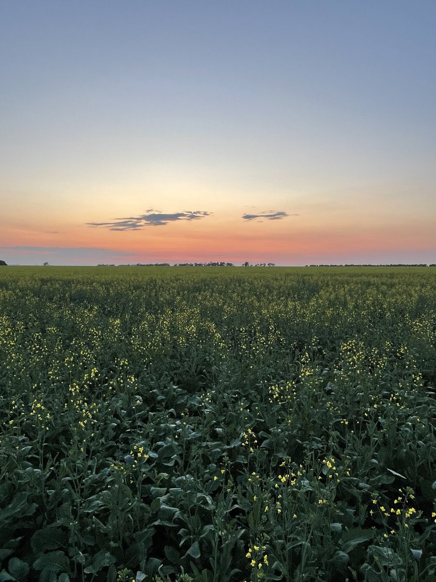 Dav™ 🇨🇦 tweet media