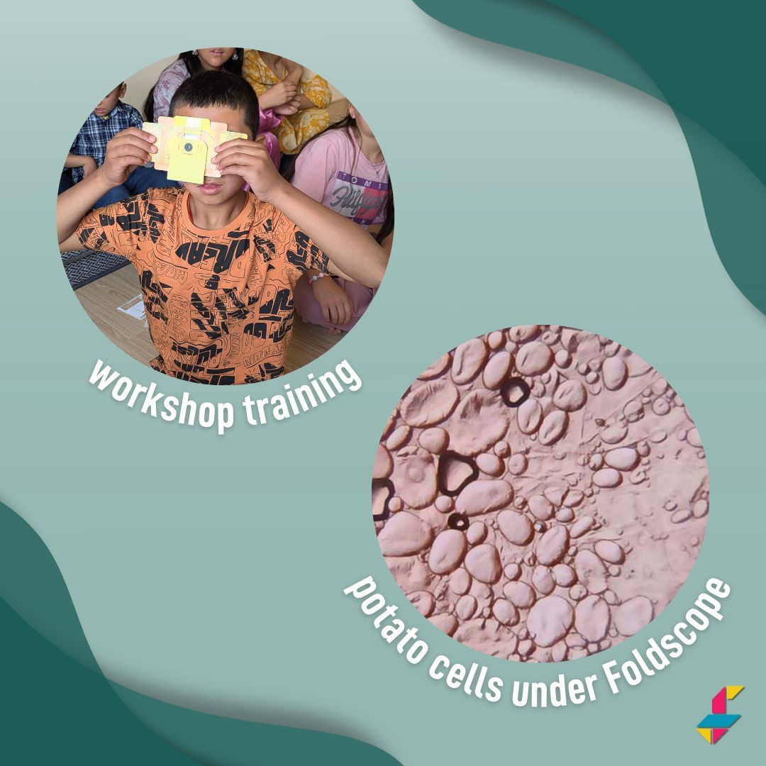 Foldscope tweet media