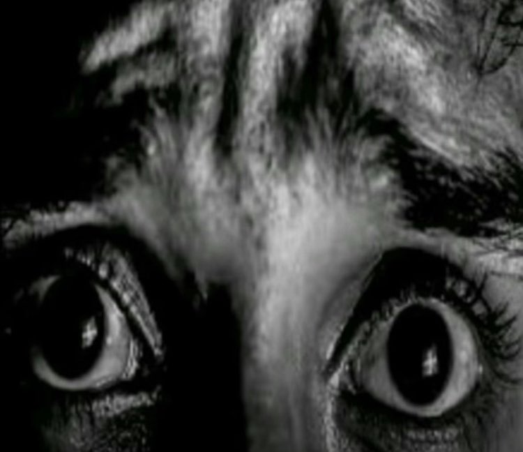 Dollemo || COMMS OPEN!🇵🇸 tweet media