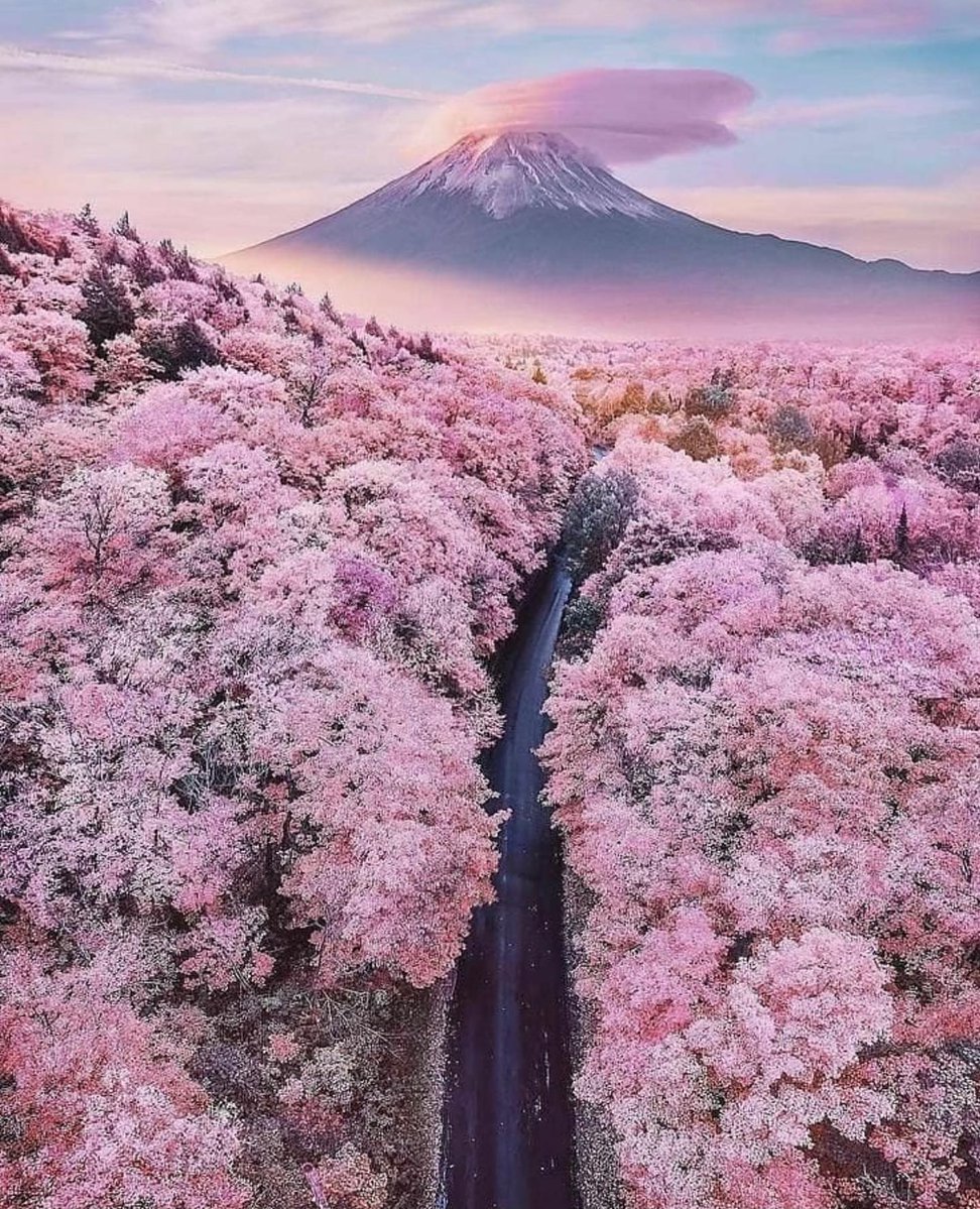 Mt. Fuji, Japan 🇯🇵