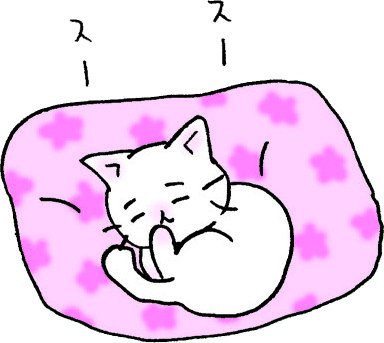 休みの日、寒い日、雨の日…ずっと寝ていたい😪
#猫ピッチャー