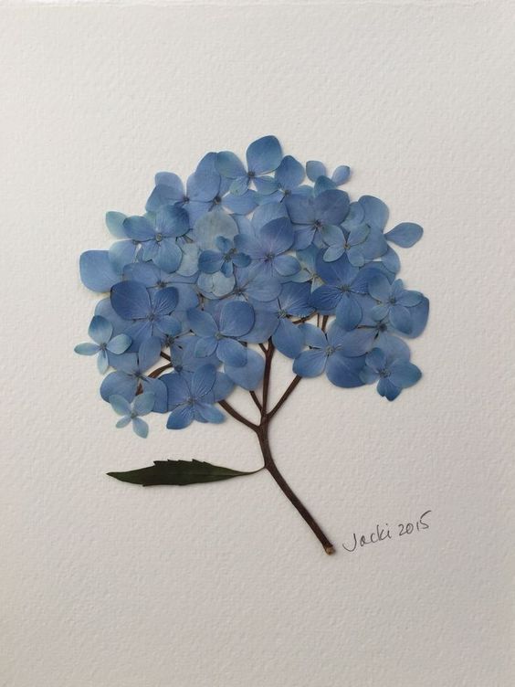 Blue. (@bluedreamvibes) on Twitter photo 