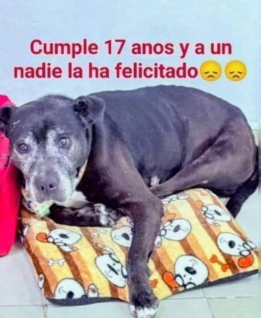 Andes Origen tweet media