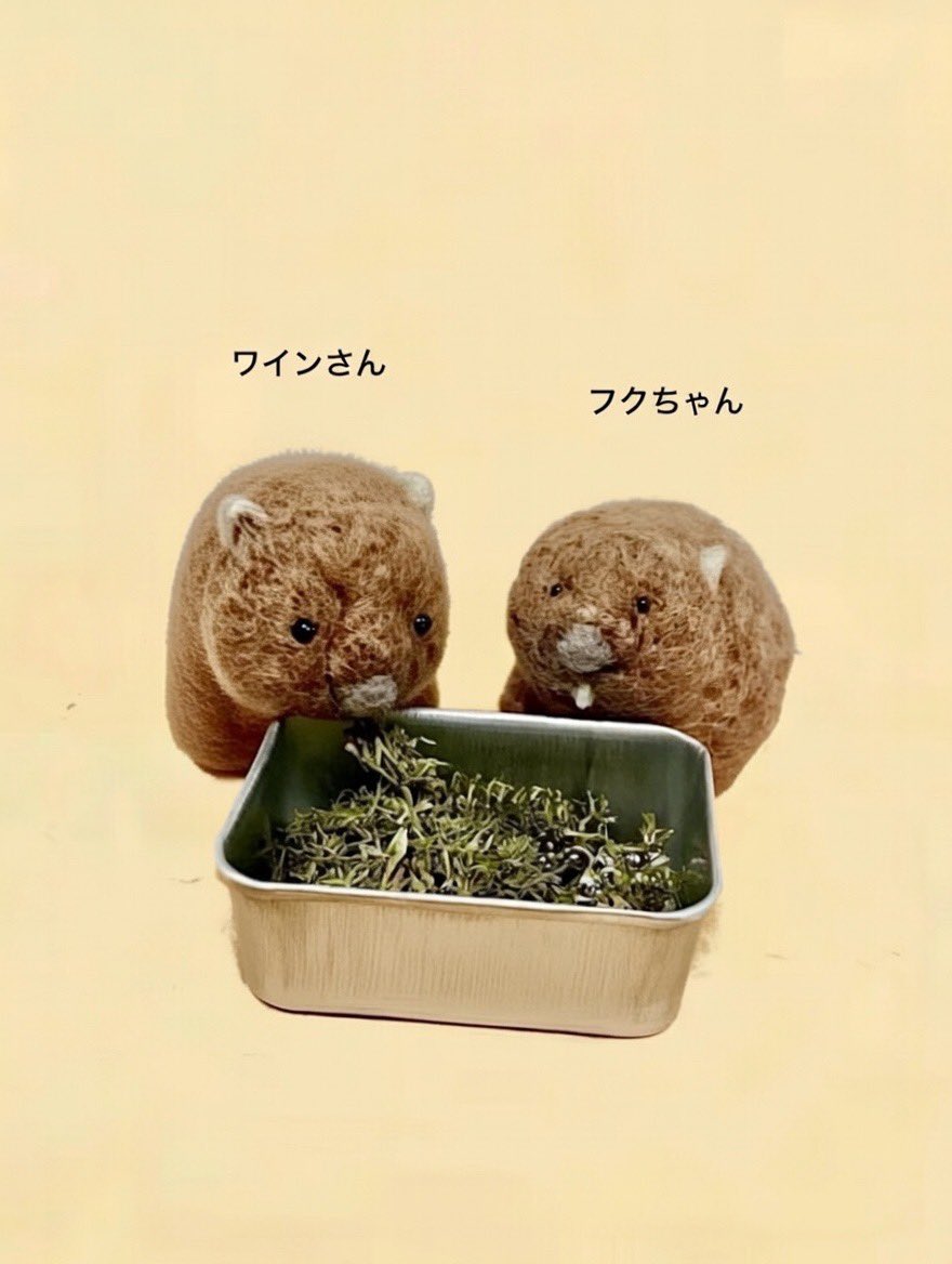 4rkm / しろくま (@_4rkm) / Posts / X